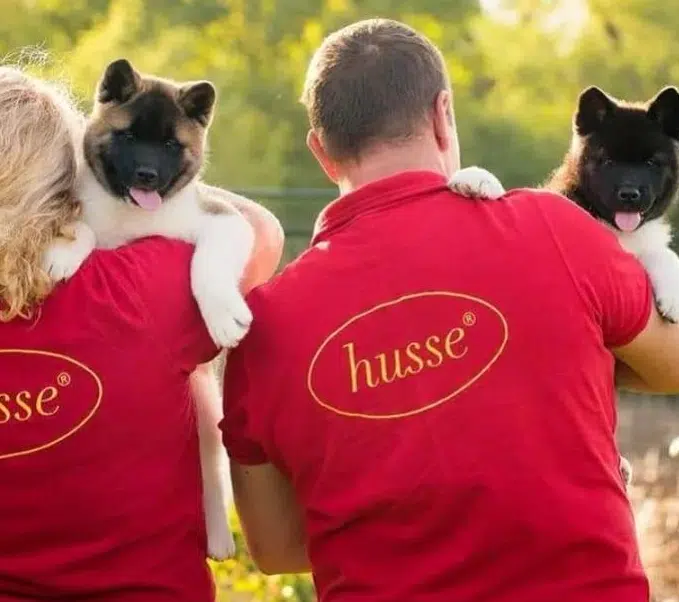 ERP CRM Facturation Gestan chez Husse